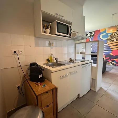 Apartment Tres Proche Tramway Decines-Charpieu